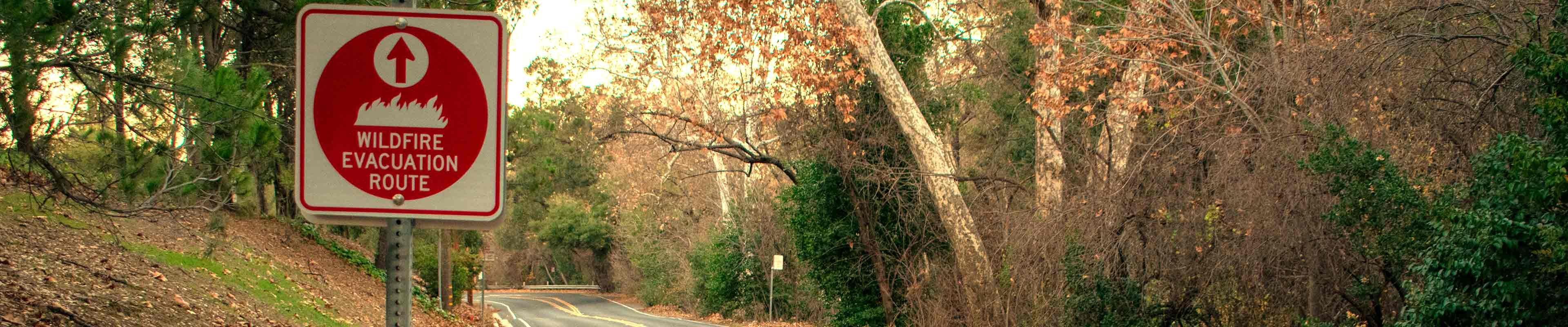 Image of a wildfire evacuation route sign on a forested highway.