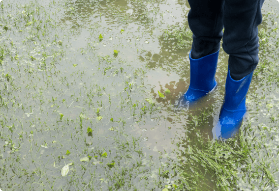 flooded yard