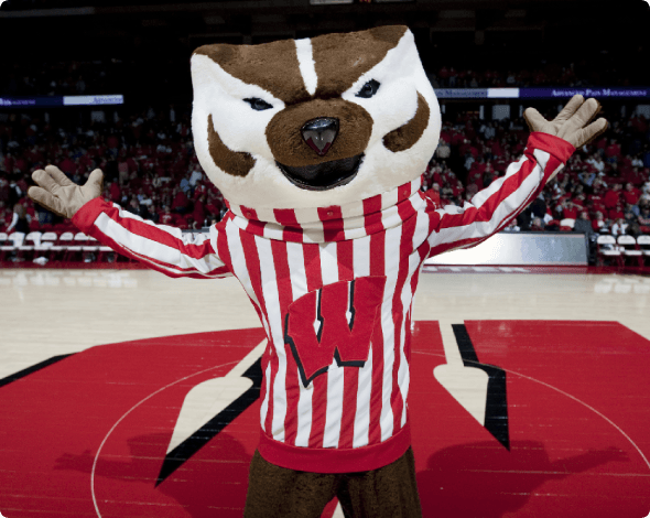 Badgers mascot