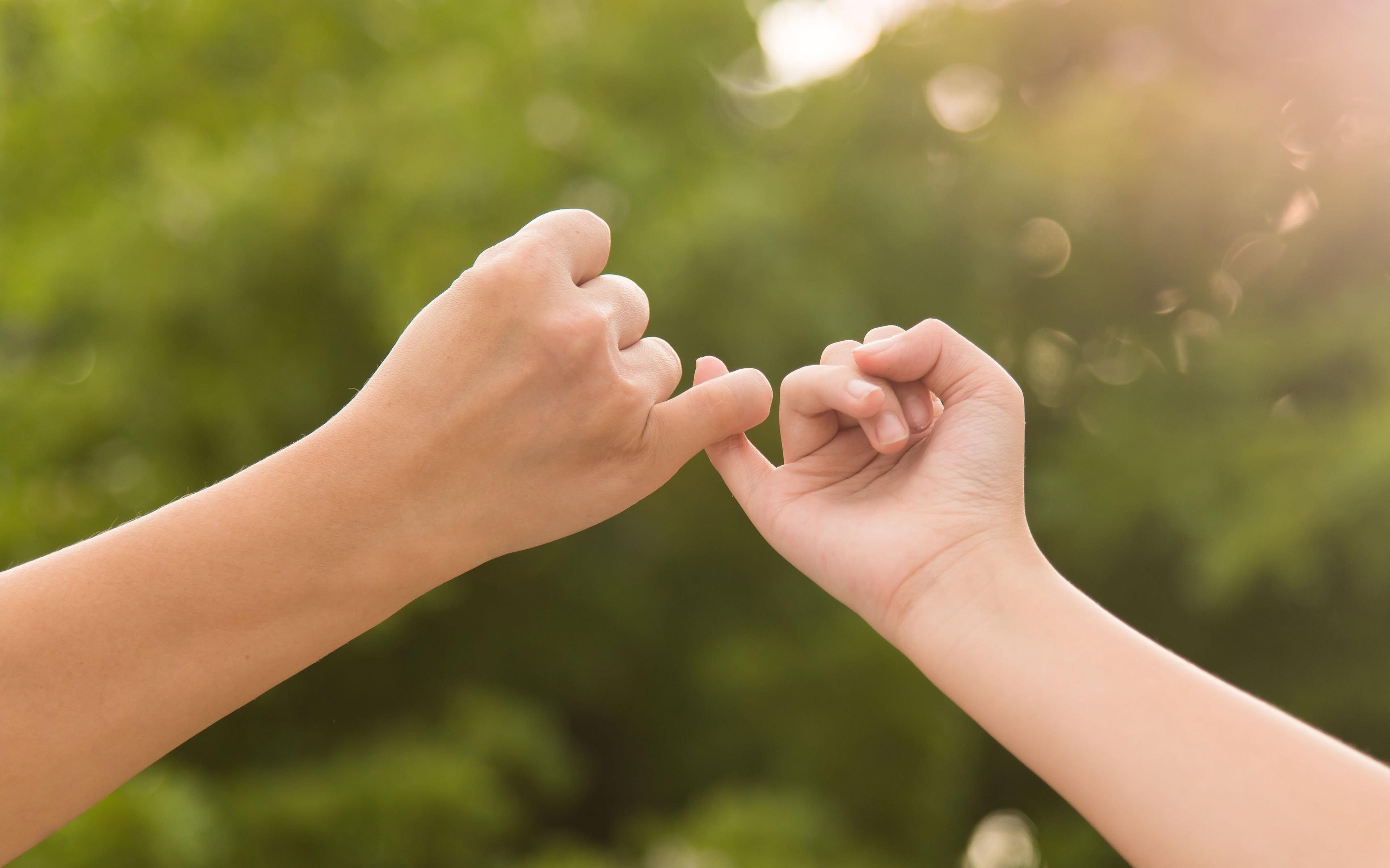 a pair of hands holding each other